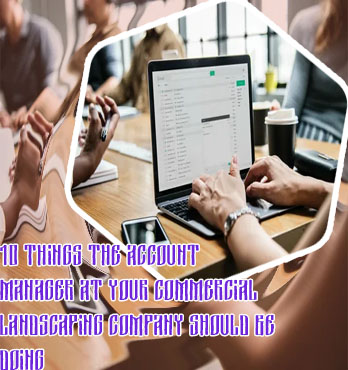 Account manager in it company