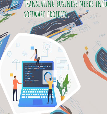 Business software development