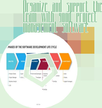 It support project management