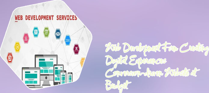 Us web development company